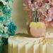 Dispenser Claraluna per sapone in porcellana di colore rosa spugna cuore