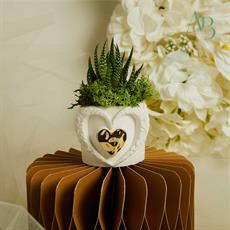 Vasetto Claraluna cuore in gesso applicazioni oro e piantina con muschio