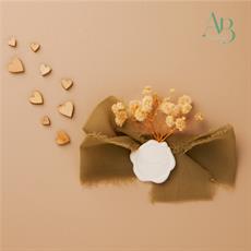 Applicazione con fiocco chiffon di colore verde e ceralacca
